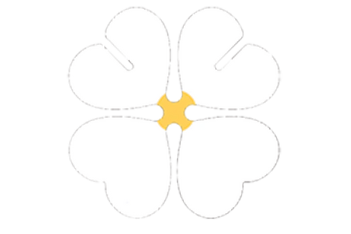 juis logo